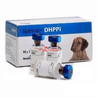 Нобивак DHPPi сух. вакцина для собак, 1 доза