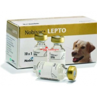 Нобивак LEPTO вакцина для собак, 1 доза