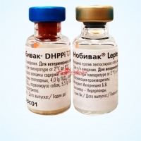 Нобивак DHPPi сух. вакцина для собак+L4, 1 комплект
